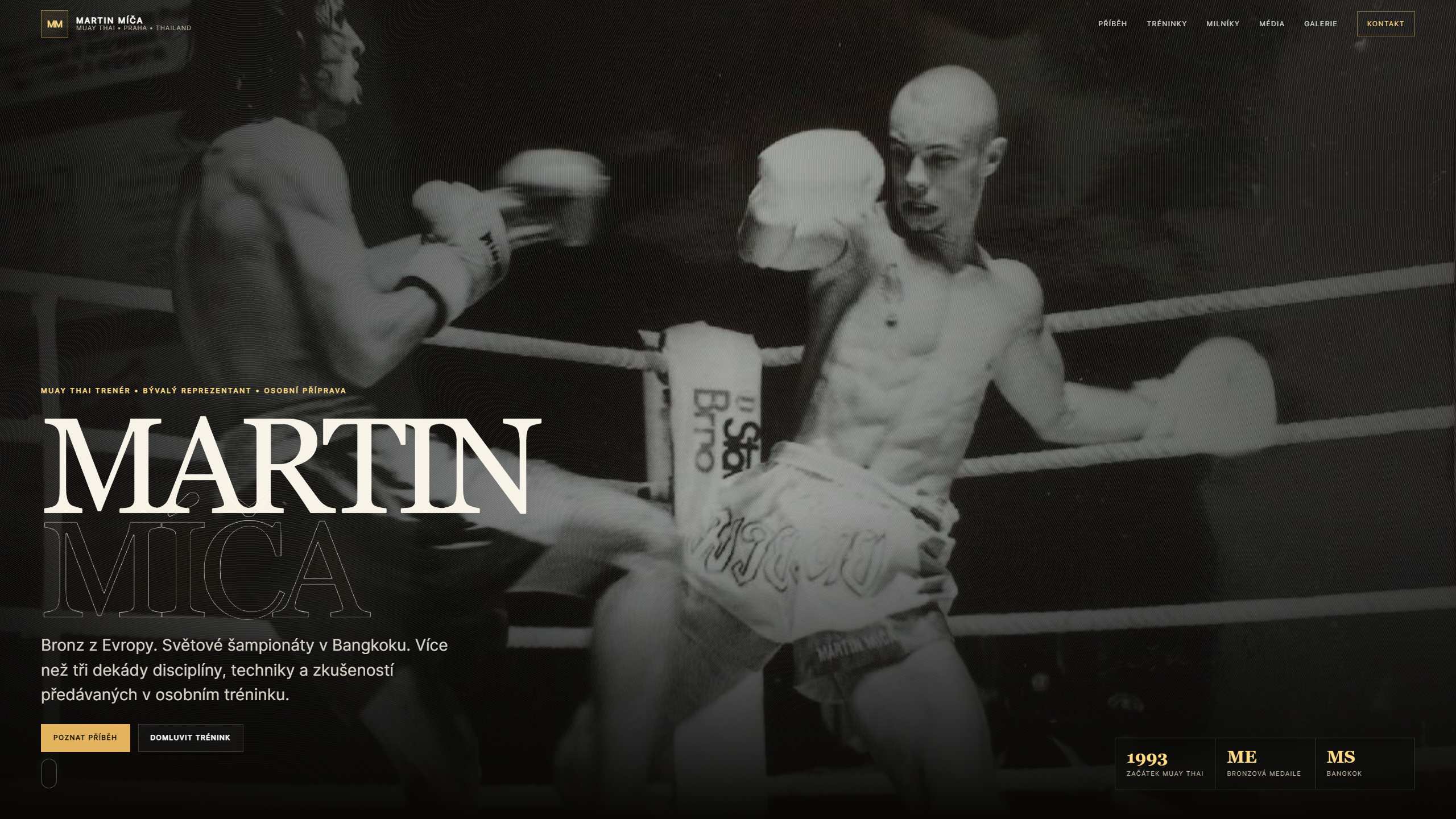 Web de Martin Míča – monitor